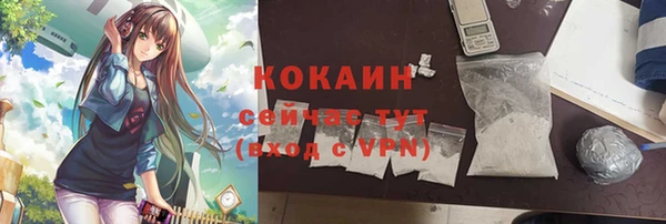 шишки Мегион