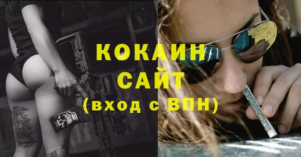 соль курить ск Медвежьегорск